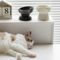 Cat and Dog Bowl Food Bowl Pet Bowl 
