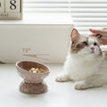 Cat and Dog Bowl Food Bowl Pet Bowl 